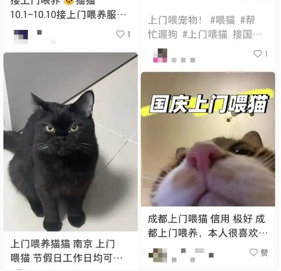 男子接270单上门喂养 最高1单8100元